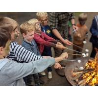 Ravotten in het Rebelsbos