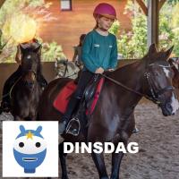 Ponyrijden - di