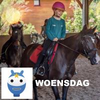 Ponyrijden - wo