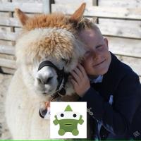 Knuffelen en spelen met dieren