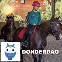 Ponyrijden - do