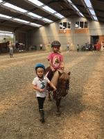 ZOMER WK 6: JEUGD: Joepla’s pony/paardenkamp 3