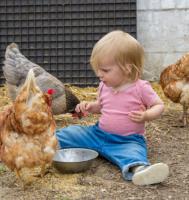 Joepla uitstap Kinderboerderij Mekkerland (kleu)