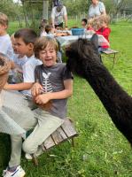 Zomersportkamp Allemaal beestjes (K1-K3) VOLZET
