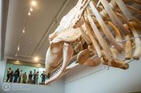 NAVIGO-museum: Vrije Rondleiding NL