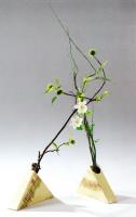 Ikebana workshop met broodjeslunch en wandeling met gids